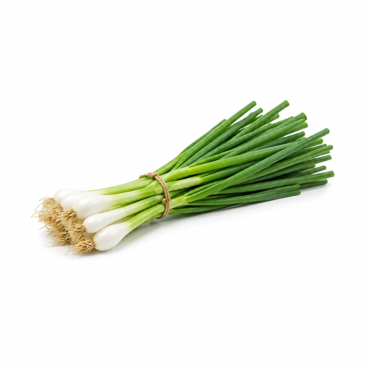 Spring Onion